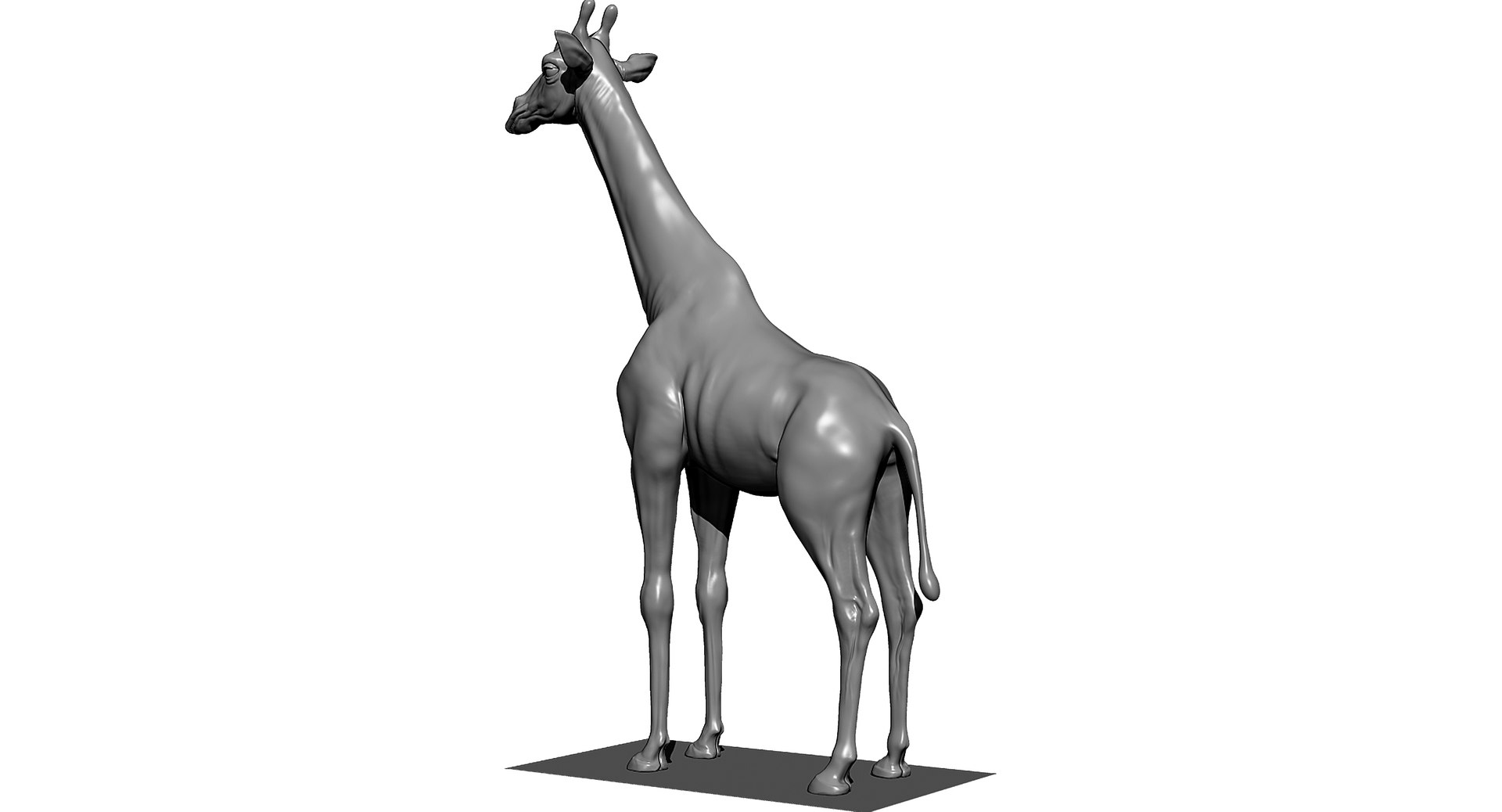3D animals giraffe camel https://p.turbosquid.com/ts-thumb/AD/VslTpU/vdbKyUb7/zb02/jpg/1511294454/1920x1080/fit_q87/27a23c9c382d6ef1b1d6509c1fb692724deae170/zb02.jpg