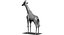 Collection d'animaux sauvages (girafe, kangourou, orignal, chameau)