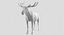 Collection d'animaux sauvages (girafe, kangourou, orignal, chameau)