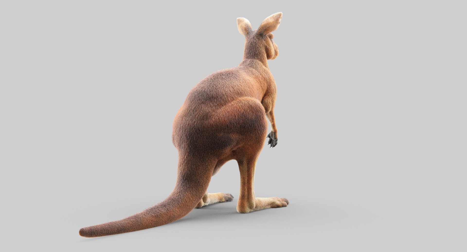 3D animals giraffe camel https://p.turbosquid.com/ts-thumb/AD/VslTpU/wmz60Qox/7/jpg/1511296344/1920x1080/fit_q87/8ec56c1606f4ae4e98541edb47e4461dbbed5ea8/7.jpg