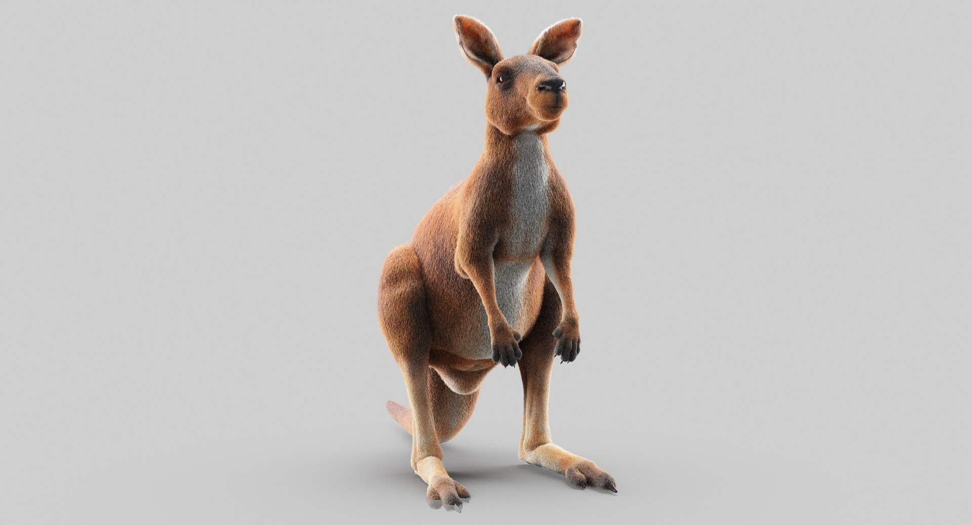 3D animals giraffe camel https://p.turbosquid.com/ts-thumb/AD/VslTpU/x9rHubgD/12/jpg/1511296344/1920x1080/fit_q87/4f26aa2c99f035f32bded6ff31893e8d4a40a69a/12.jpg