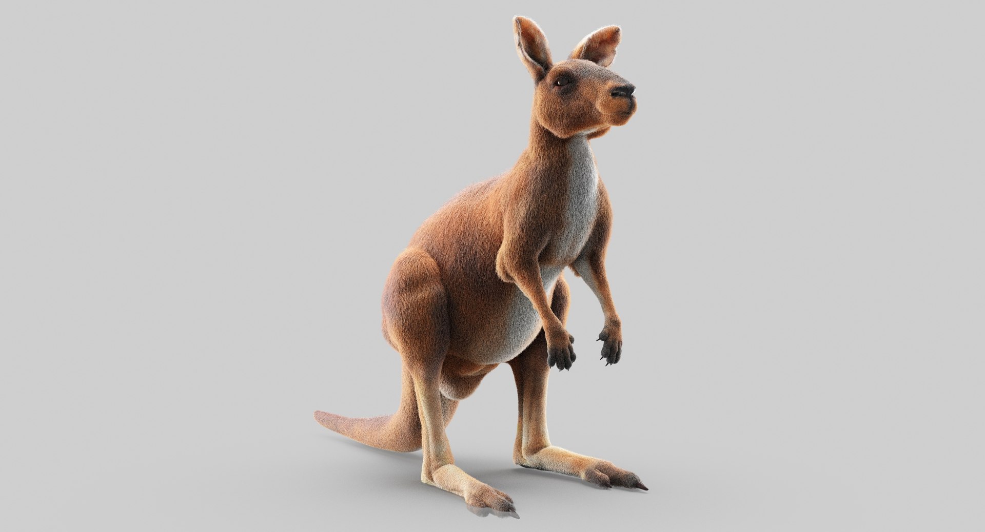 3D animals giraffe camel https://p.turbosquid.com/ts-thumb/AD/VslTpU/xgqCxGSt/11/jpg/1511296344/1920x1080/fit_q87/5e7b61f5a7cca48f53e2ecef0faa7ef4e0d968fb/11.jpg