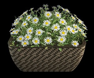 camomile pot 3d model
