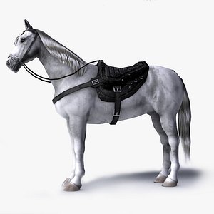 white horse saddle 3D model