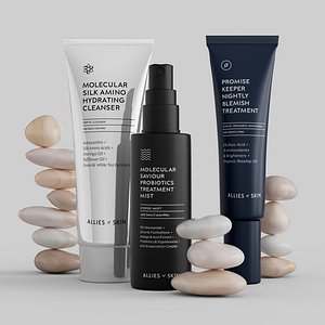 Allies of Skin - The Blemish Be Gone Routine 3D model