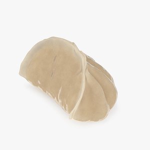Chinese Dumpling Cooked 3D