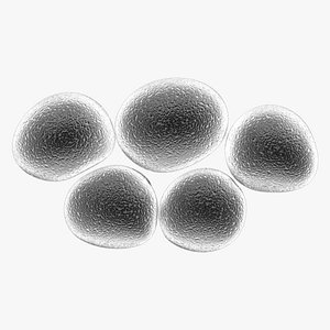 Mrsa Methicillin Resistant Staphylococcus aureus 3D