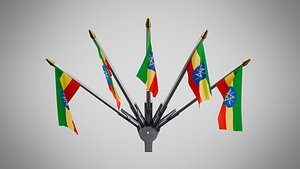 3D Wall Mount Flags 5 Of Ethiopia model