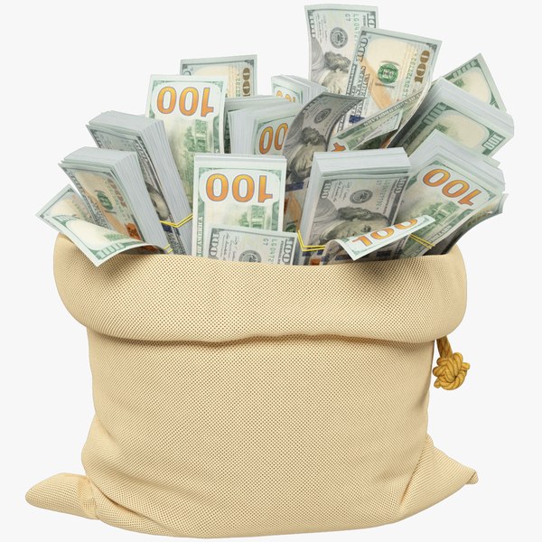 Money Bag V5 3D model