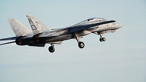 F-14 Tomcat 3D model