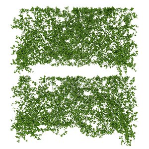 3d model of vines wall 2 items