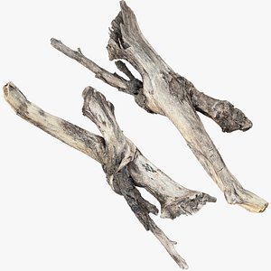 Realistic Tree Branch Trunk Wood 3D Scan in highpoly 3D model