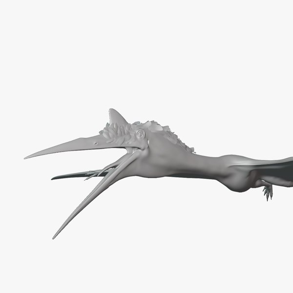 modelo 3d Quetzalcoatlus Basemesh Low Poly - TurboSquid 2107710