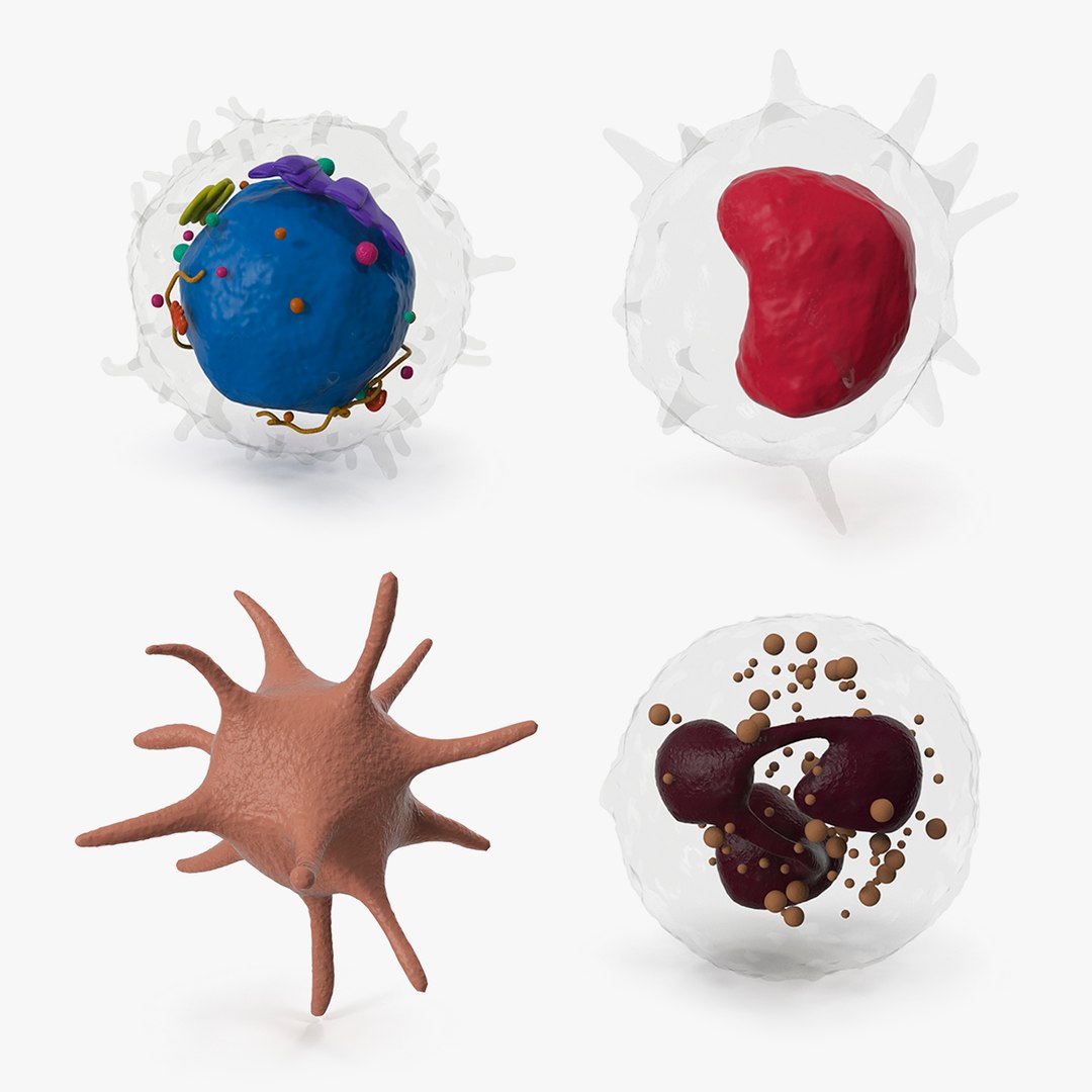 Blood Cells Collection 2 3D model preview