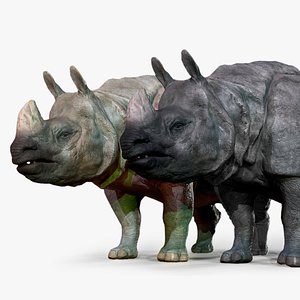 3D model rhinoceros indian rhino