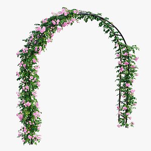 rose plant 3D model