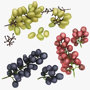 Grapes Collection
