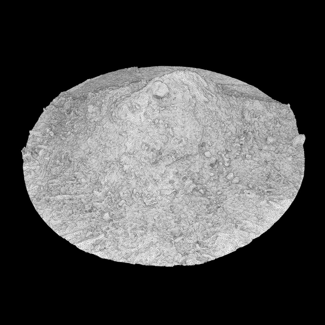 3D Gravel Dirt Pile 01 - 3D photogrammetry model scan of a pile of gravel and sand model https://p.turbosquid.com/ts-thumb/AE/v3BrR2/n5/graveldirtpile01frontwire/jpg/1672843422/1920x1080/fit_q87/bafadc121a93390ed264f95e4e9c1dc62a9465eb/graveldirtpile01frontwire.jpg