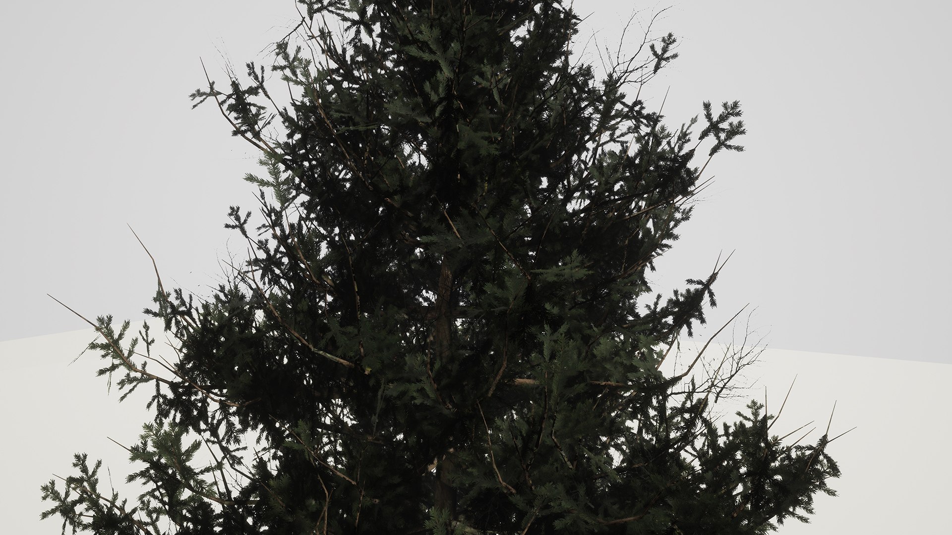 3D ue4 leave https://p.turbosquid.com/ts-thumb/AE/x5Rcpp/48g0S9Xe/8/jpg/1514679171/1920x1080/fit_q87/117fb1b871a04b04f40e8d44a43cc9680d5b0542/8.jpg