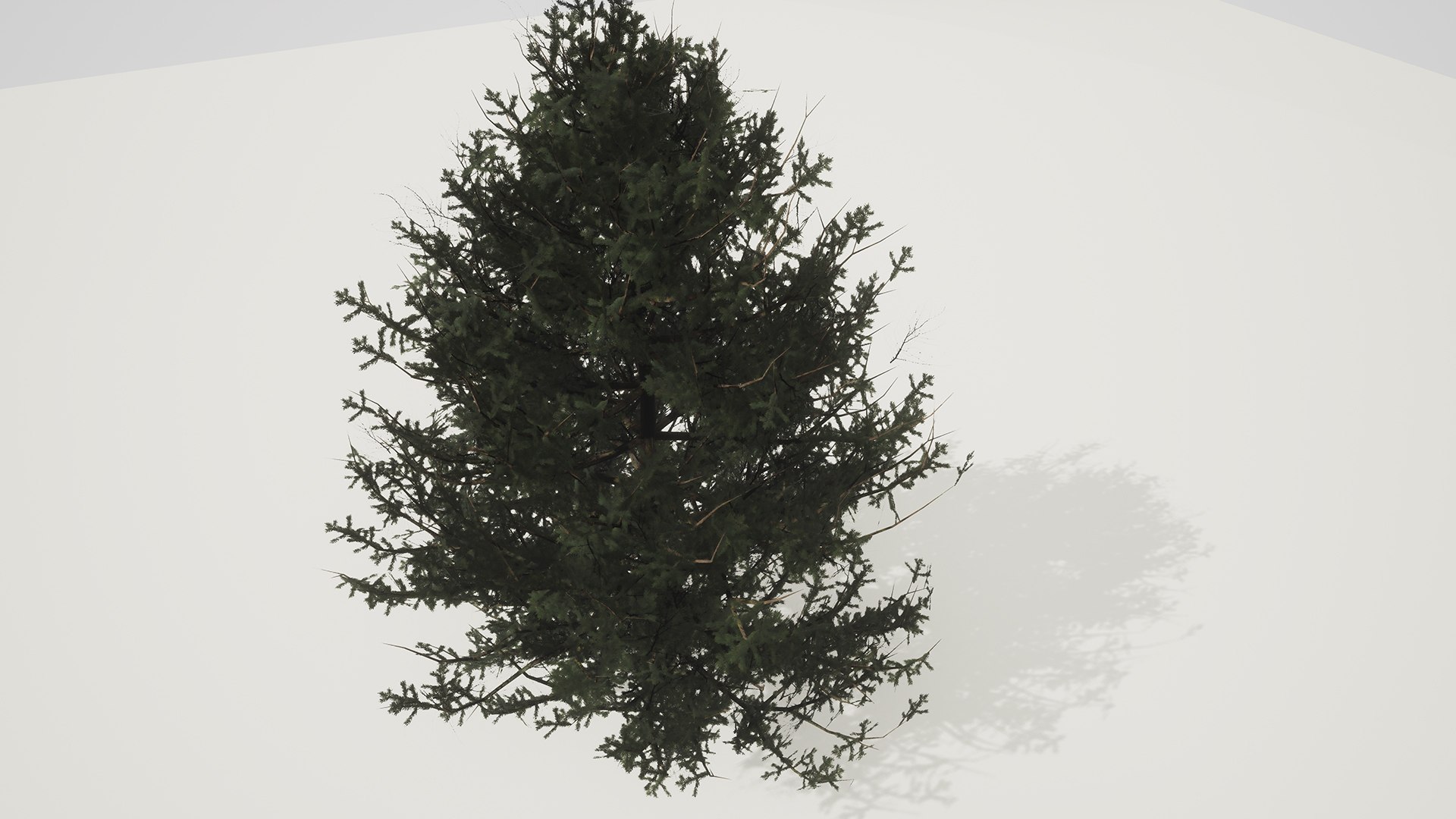 3D ue4 leave https://p.turbosquid.com/ts-thumb/AE/x5Rcpp/4a15F0Cb/2/jpg/1514679171/1920x1080/fit_q87/6b99a526a8ef9630a580b2005751f8286b1cc463/2.jpg