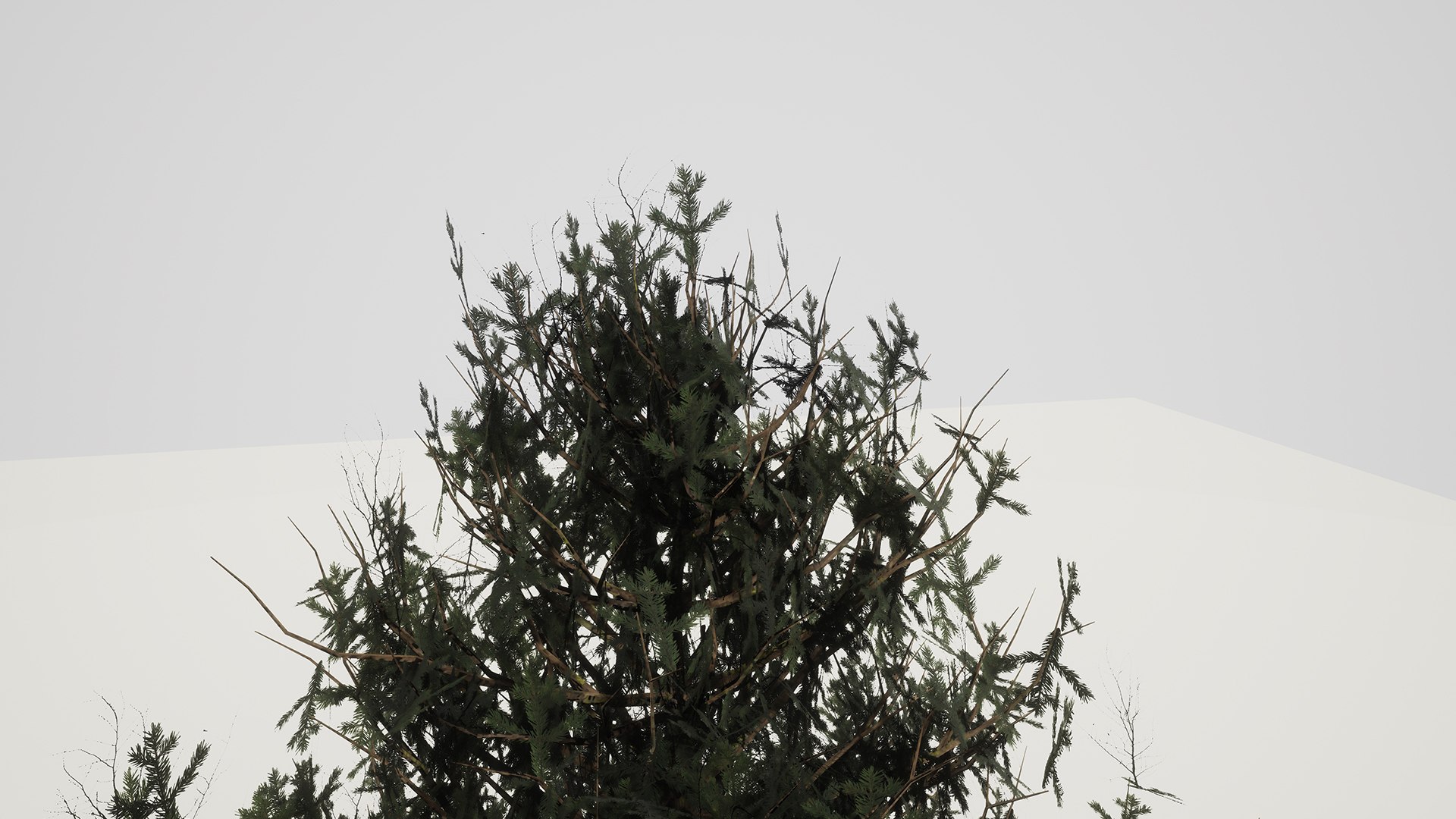 3D ue4 leave https://p.turbosquid.com/ts-thumb/AE/x5Rcpp/4ck5EtJp/9/jpg/1514679171/1920x1080/fit_q87/28ccfc39c5e4096953f77ab896b3ef8af3b1e564/9.jpg