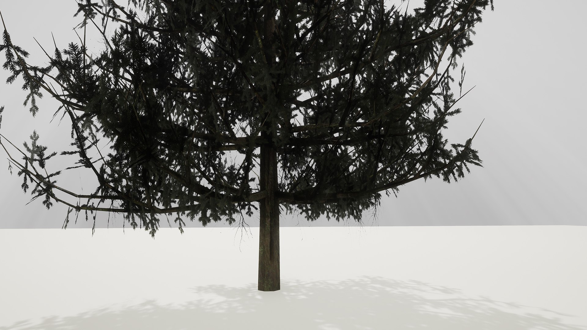 3D ue4 leave https://p.turbosquid.com/ts-thumb/AE/x5Rcpp/CeL73yZg/3/jpg/1514679171/1920x1080/fit_q87/9de5dd2ef0f455ac380326526de217d2af8a0e03/3.jpg