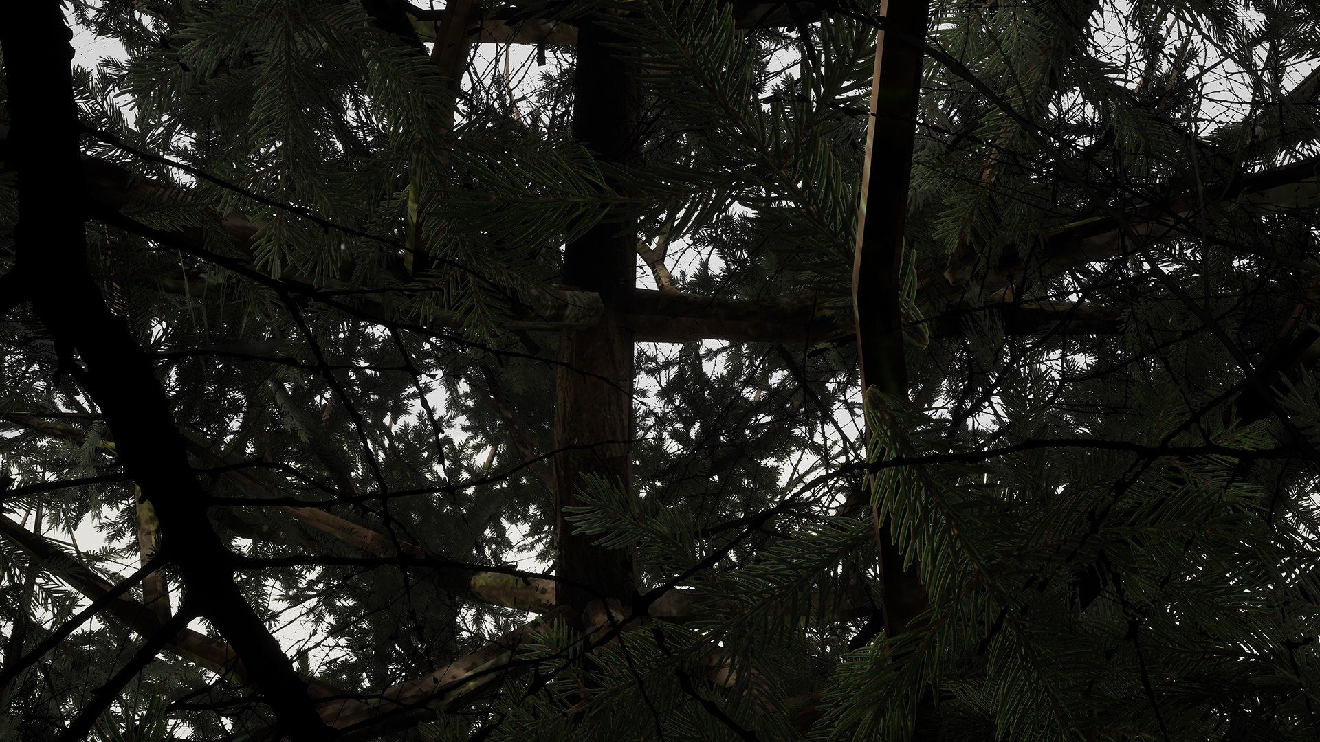 3D ue4 leave https://p.turbosquid.com/ts-thumb/AE/x5Rcpp/JYBQl3fV/7/jpg/1514679171/1920x1080/fit_q87/0d05ea9da3434017ca4acfa4982abd5cfd264e26/7.jpg