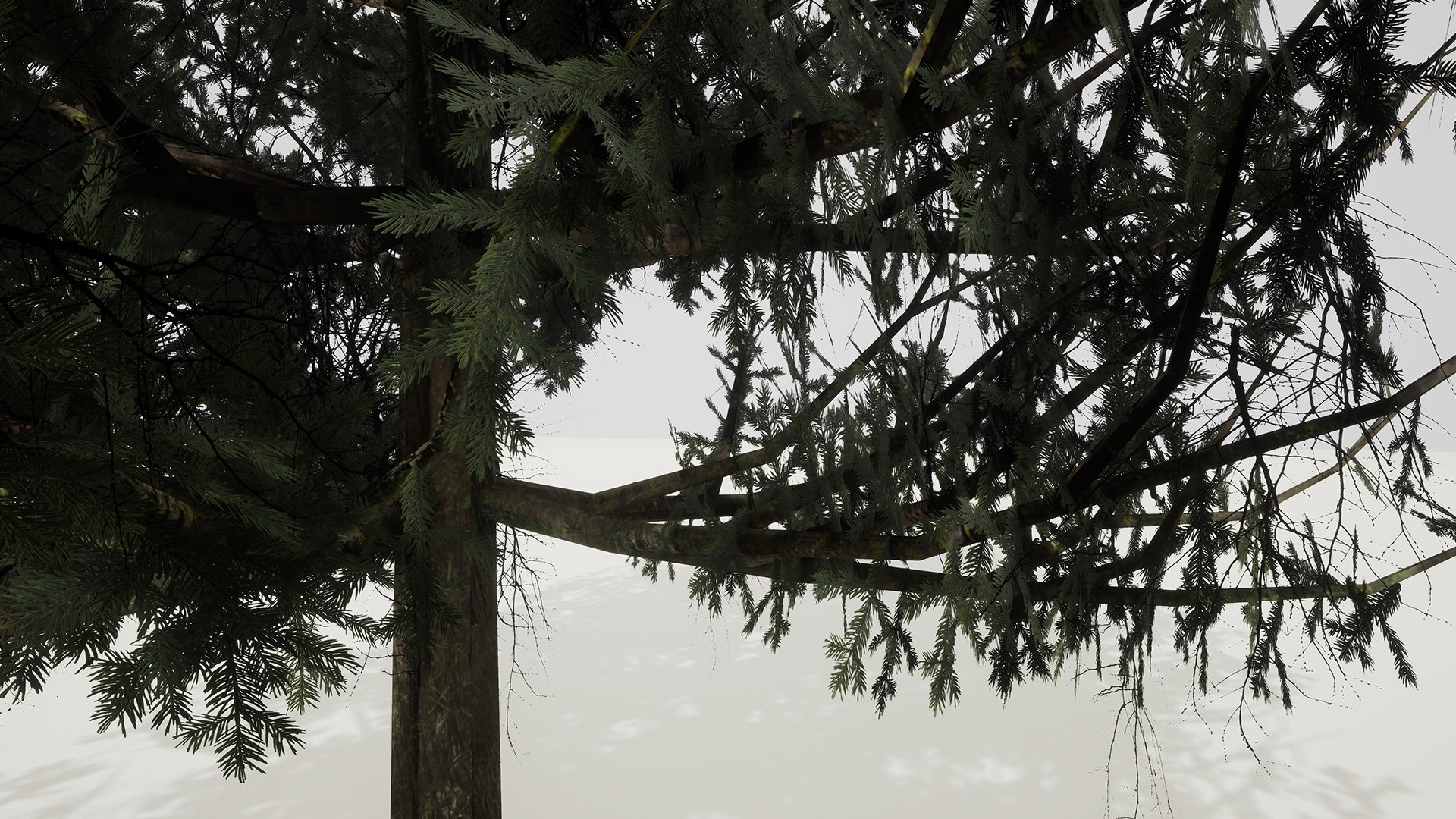 3D ue4 leave https://p.turbosquid.com/ts-thumb/AE/x5Rcpp/uSedZe8k/4/jpg/1514679171/1920x1080/fit_q87/5fb604b51431b9083b377220ff99f98f628ef9f0/4.jpg