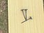 Nail