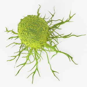 cancer cell 3D