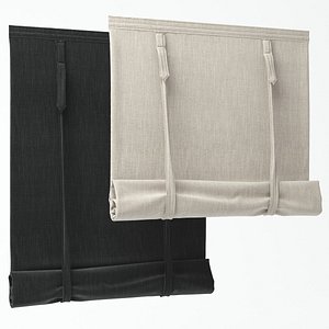 3d roman shades model