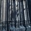 Cathedral Gothic Pack 20