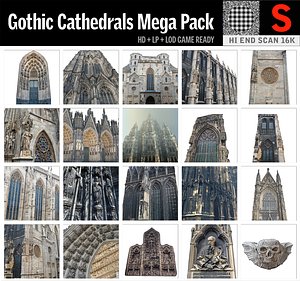 gothic architecture cathedral packed 3D model