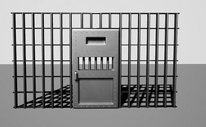 3D prison cell doors