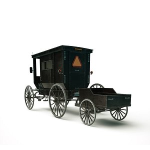 Amish Buggy