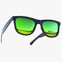 Polarized Sunglasses