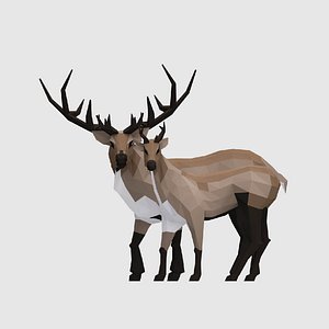 reindeers male female 3D