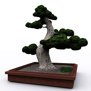 3D bonsai tree
