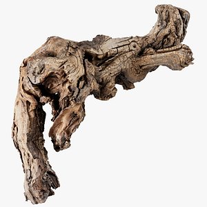 3D Grapevine Bark 3D Scanned 05