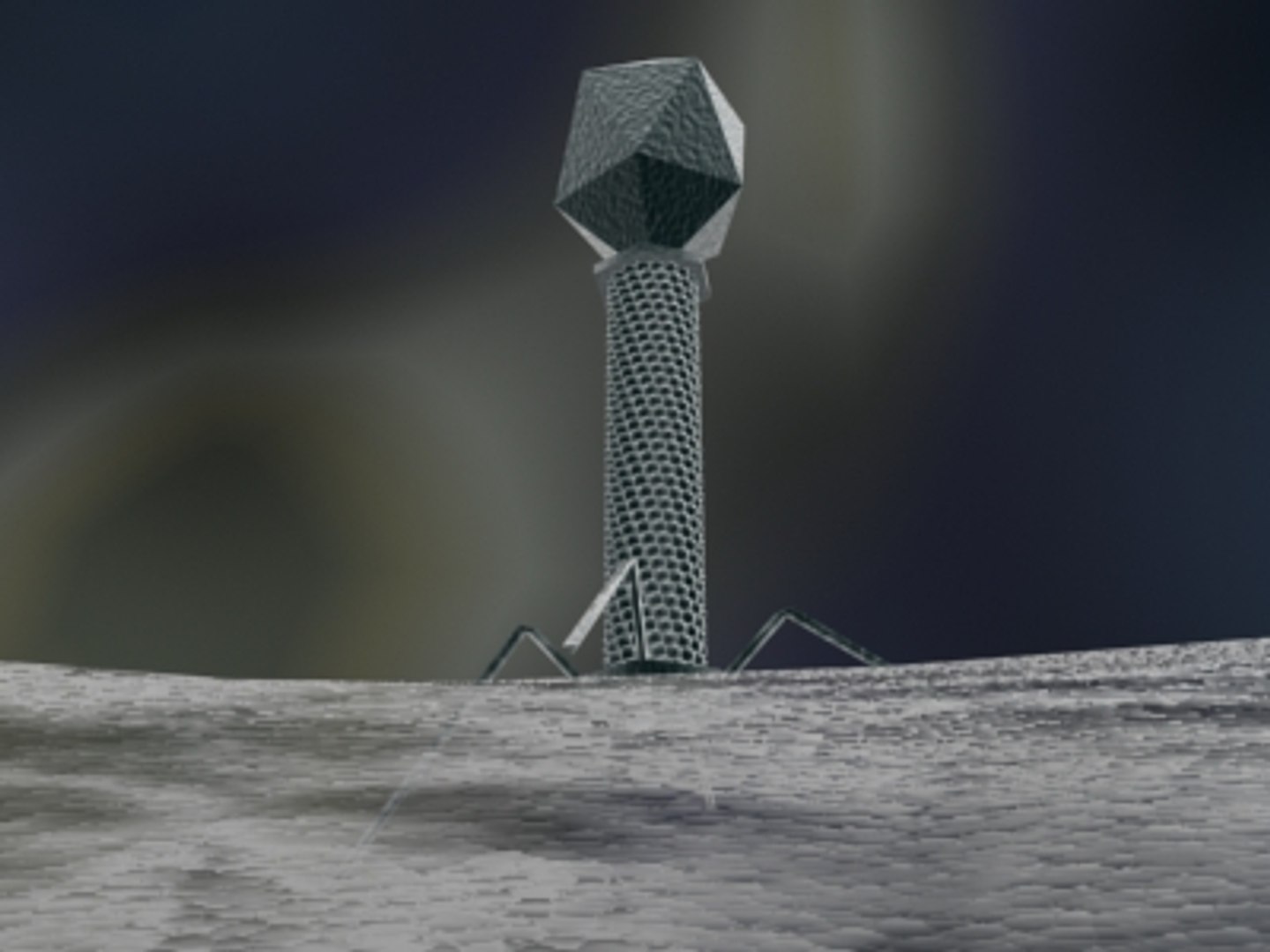 3D Bacteriophage Virus - TurboSquid 414953