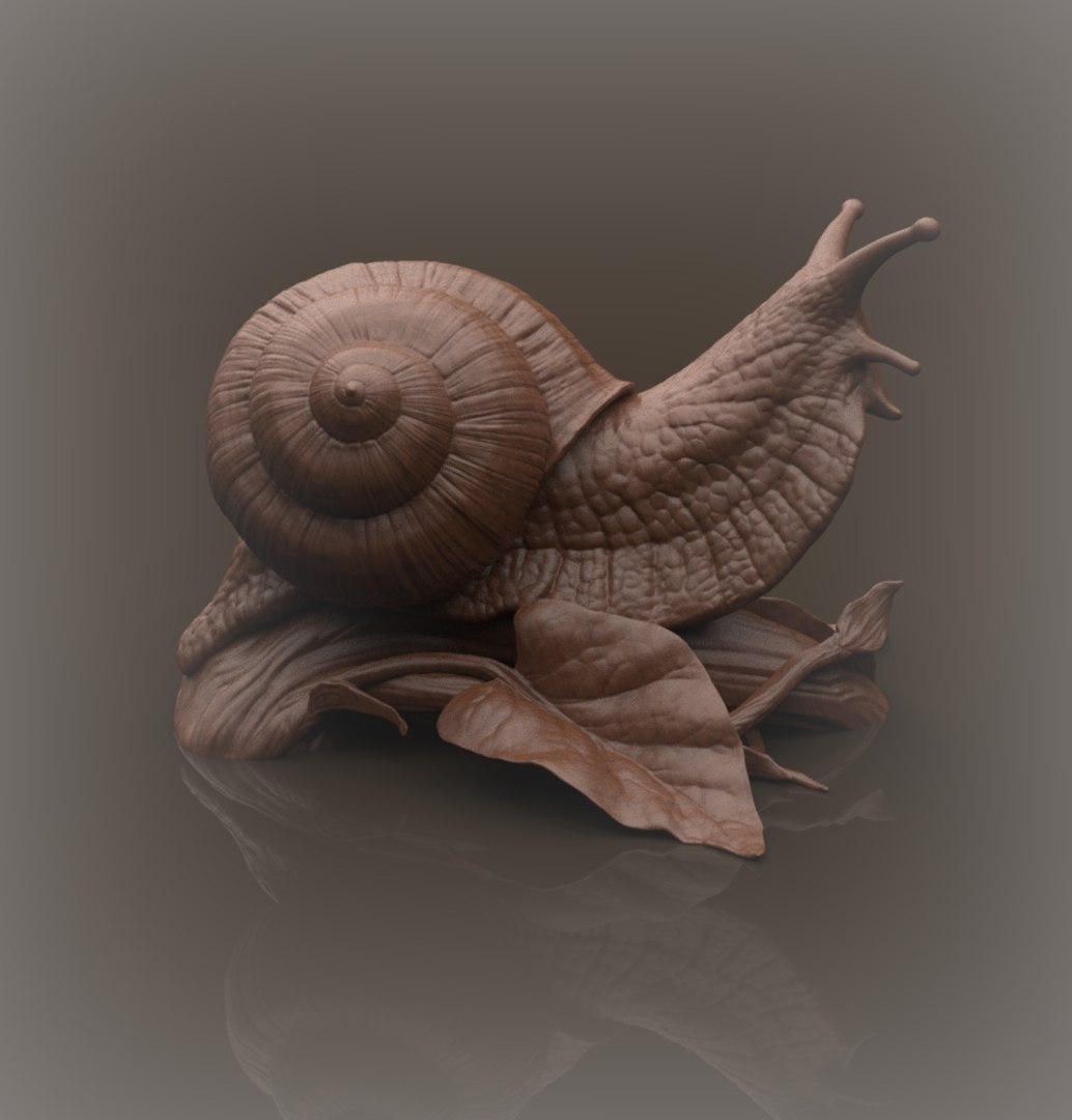 Snail Model - TurboSquid 1260951