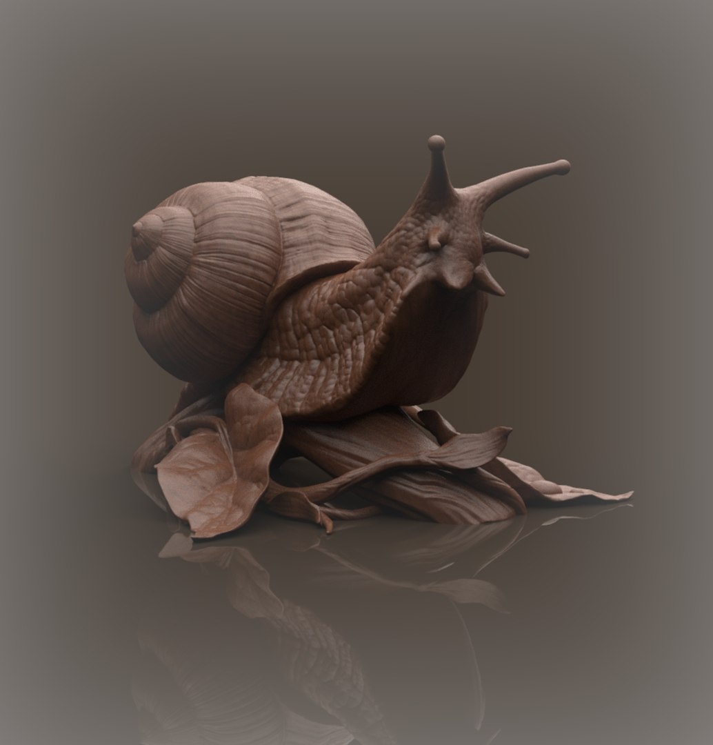 Snail Model - TurboSquid 1260951