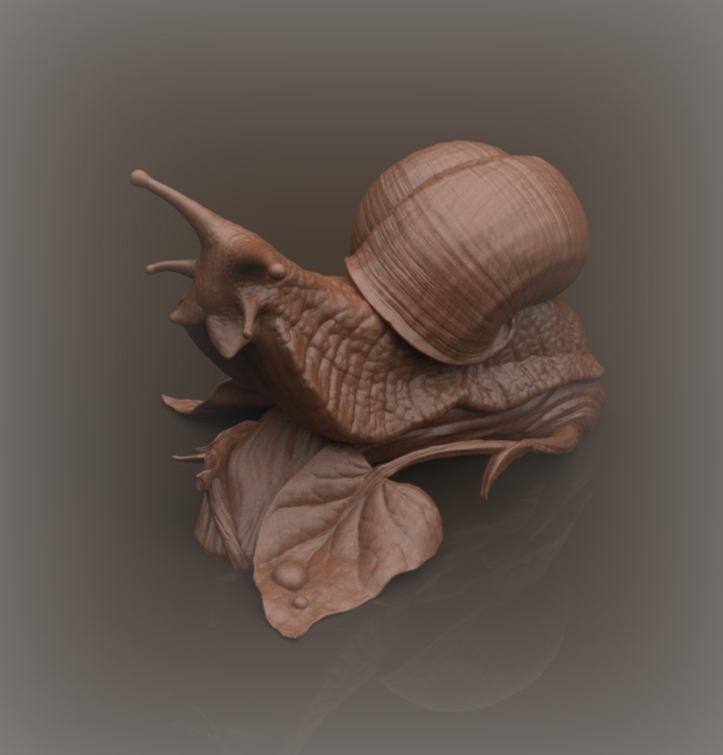 Snail Model - TurboSquid 1260951
