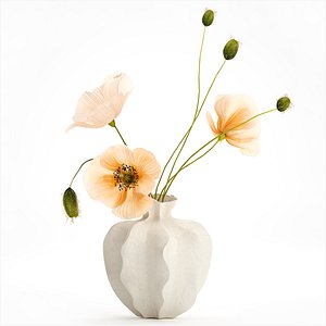 3D Realistic wildflower bouquet Icelandic poppy vase decor