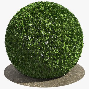 Round Bush 01 3D model