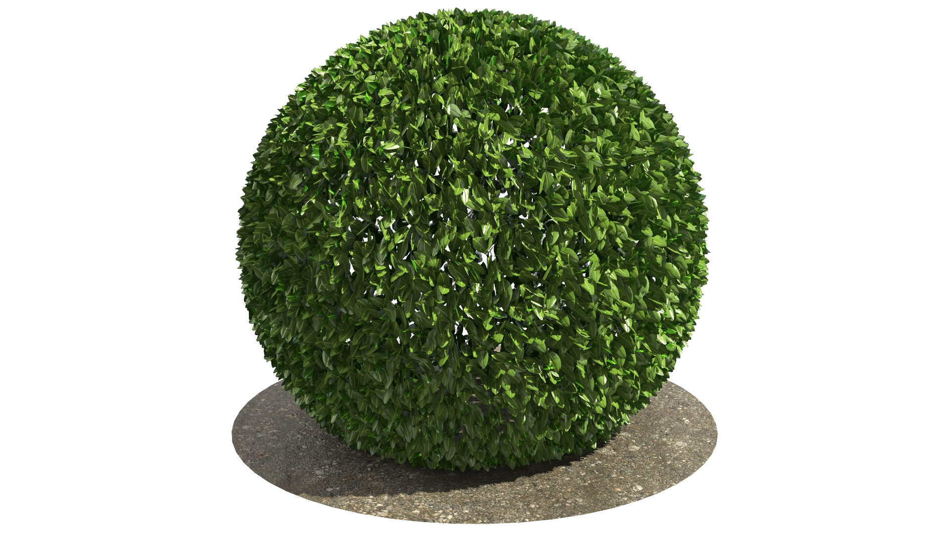 Round Bush 01 3D model https://p.turbosquid.com/ts-thumb/AG/MQs8fd/rt/turn/jpg/1618050136/1920x1080/turn_fit_q99/2d3165ccdc4c80162b3b3d8c4f7729eb3a59bbb6/turn-1.jpg