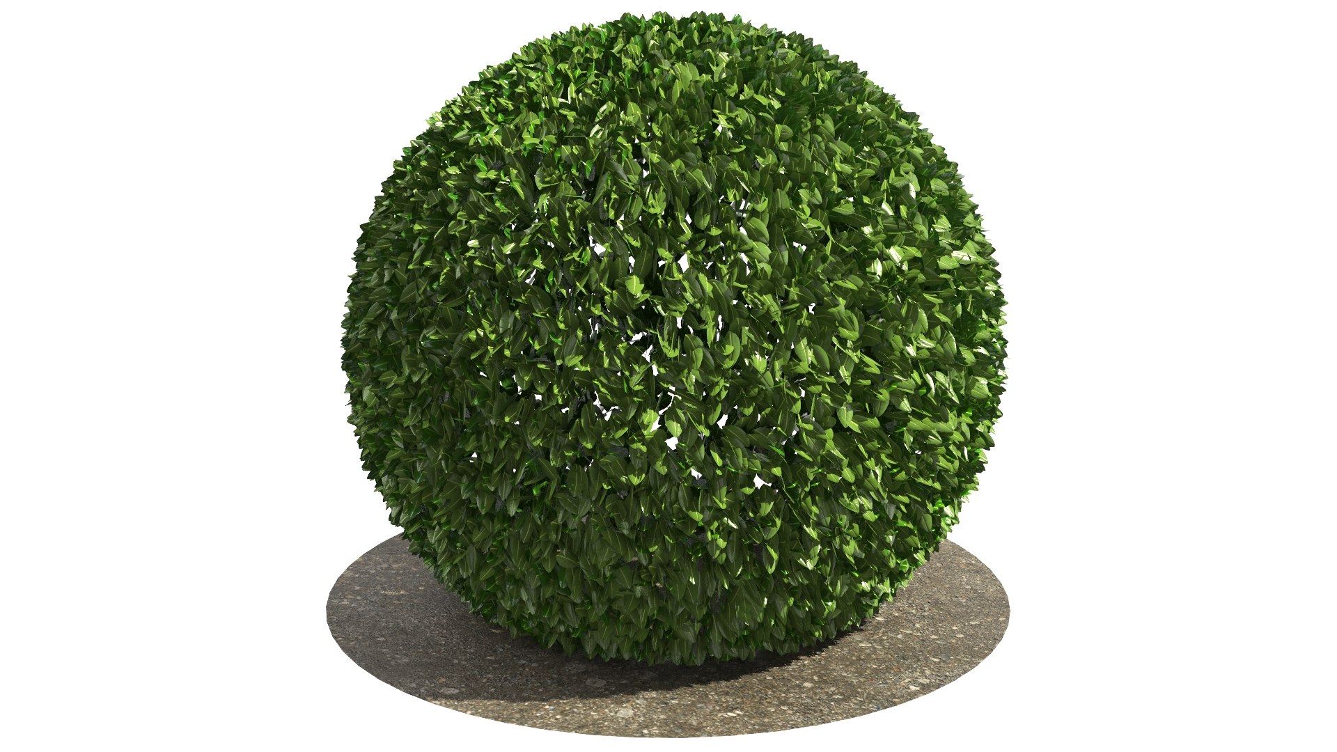 Round Bush 01 3D model https://p.turbosquid.com/ts-thumb/AG/MQs8fd/tM/turn0011/jpg/1618050287/1920x1080/fit_q87/e98ea5f251b0848586fddb76b2448031a096a74f/turn0011.jpg