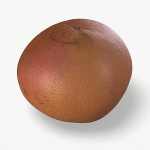 High Quality Scan Grapefruit - 1 3D