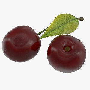cherry fruit food 3D model