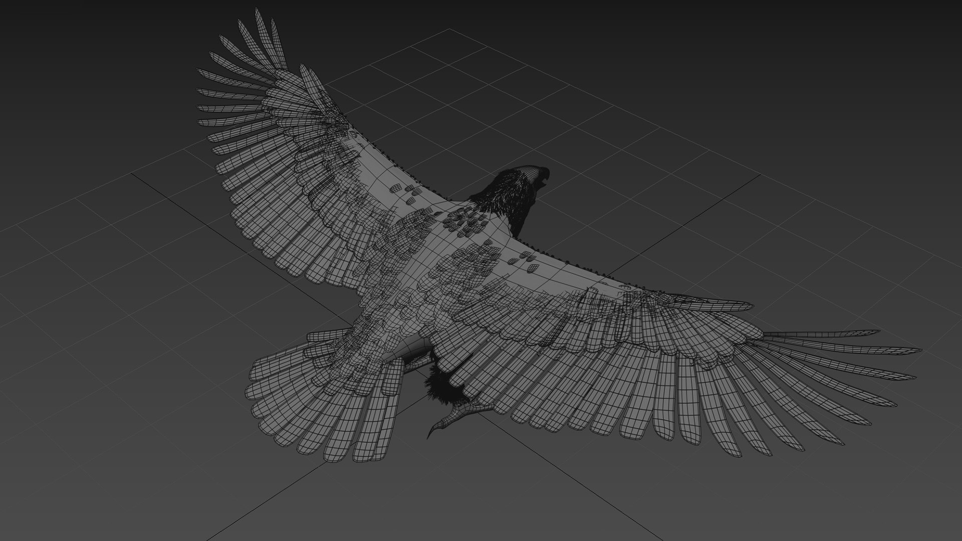 Eagle Aguia Shape 3D model https://p.turbosquid.com/ts-thumb/AG/V3oLHx/8g/9/jpg/1750433420/1920x1080/fit_q87/5be906e3d55512204ddfea6e5bf7c393f9cf2599/9.jpg